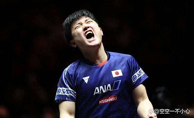 pg电子试玩-波兰乒乓球队绝地反击法国乒乓球队，张本智和惊艳世界的简单介绍