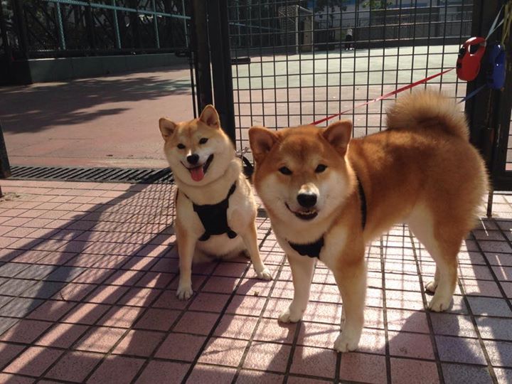 太阳力克快船，乔治逆境中诠释关键先生