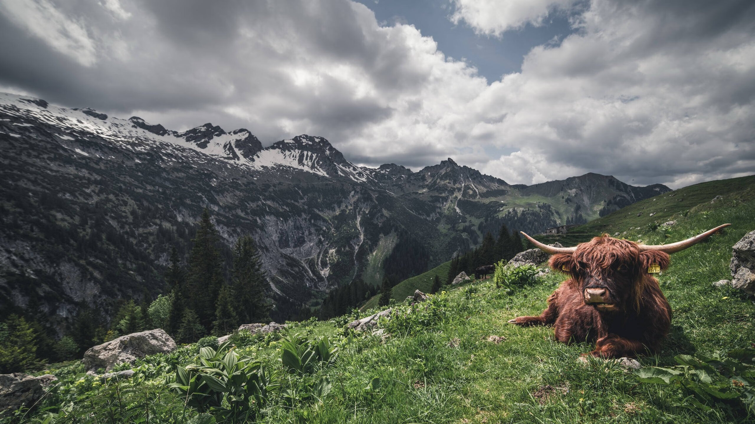 伤痕之下是星光，老将保罗如何用19年谱写逆转绝唱