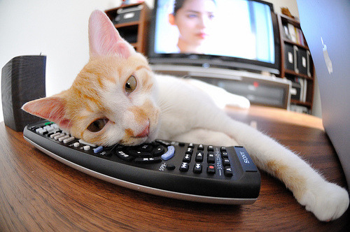 跨界对比，秘鲁对阵土耳其赛事中折射出的C罗数据爆炸现象