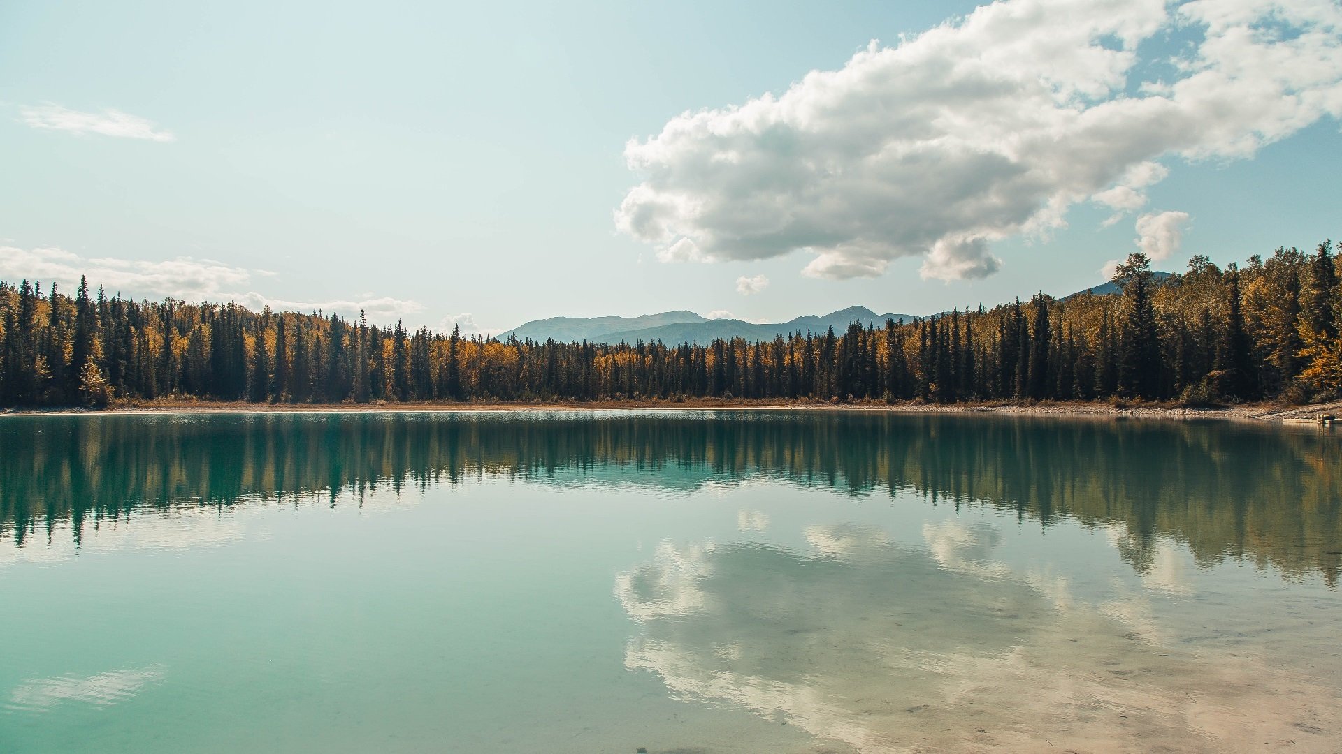 战争与足球，基米希的手术刀，伊拉克的碾压机—关键时刻，方显英雄本色