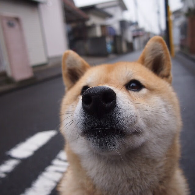 马丁内利，阿森纳攻防转换的引擎与战术压制芬兰的密钥