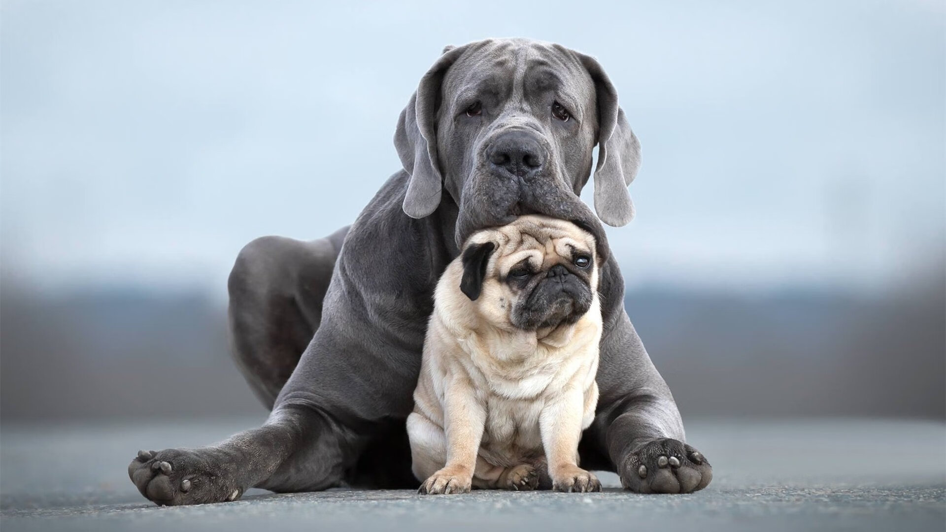 绝境铸就传奇，巴黎险胜之夜，孔德如何用教科书式防守赢得未来