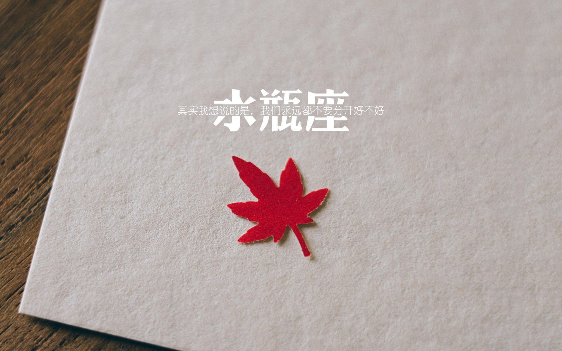 阿根廷稳如磐石，萨卡闪耀未来，当传统豪强遇见新生代主宰