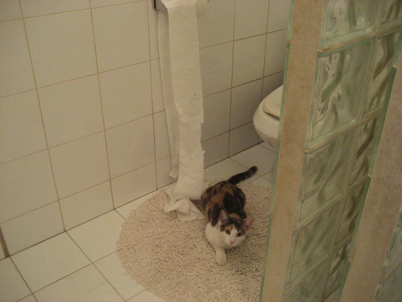 -一剑封喉！武切维奇绝杀拯救鹈鹕，关键时刻诠释巨星价值