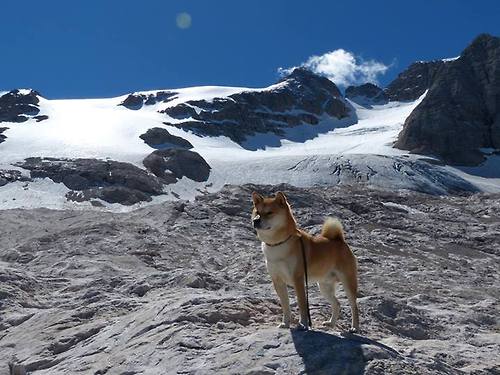 双城记,当足球智慧力克篮球速度—北京队如何以德甲争冠战的韧性击败火箭